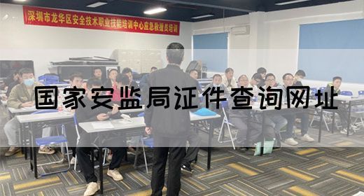 国家安监局证件查询网址