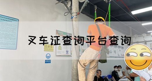 叉车证查询平台查询