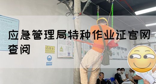 应急管理局特种作业证官网查阅