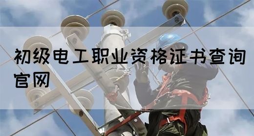 初级电工职业资格证书查询官网