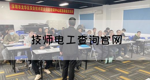 技师电工查询官网